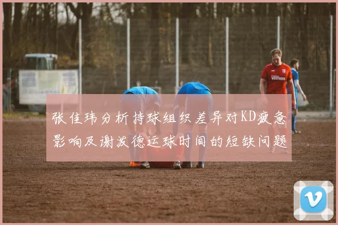 张佳玮分析持球组织差异对KD疲惫影响及谢泼德运球时间的短缺问题