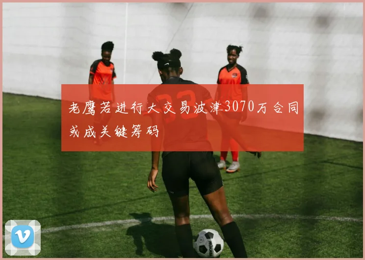 老鹰若进行大交易波津3070万合同或成关键筹码