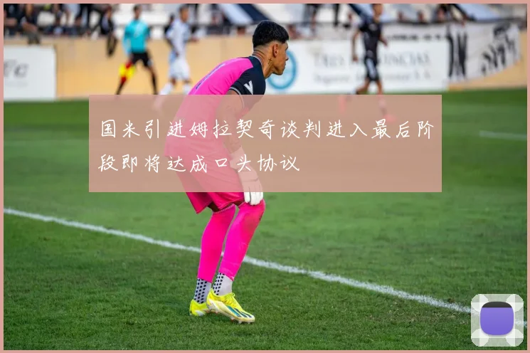 国米引进姆拉契奇谈判进入最后阶段即将达成口头协议