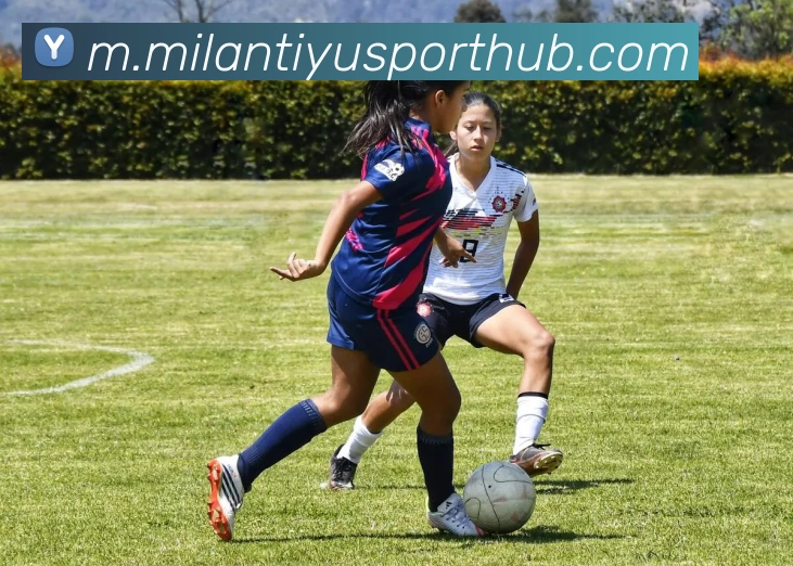 App Interface Preview